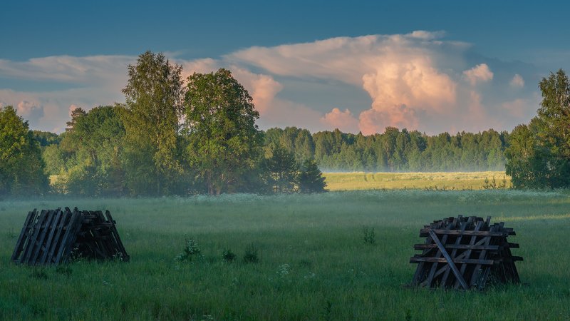 вологодчина,север,лето,вечер По дороге... фото превью
