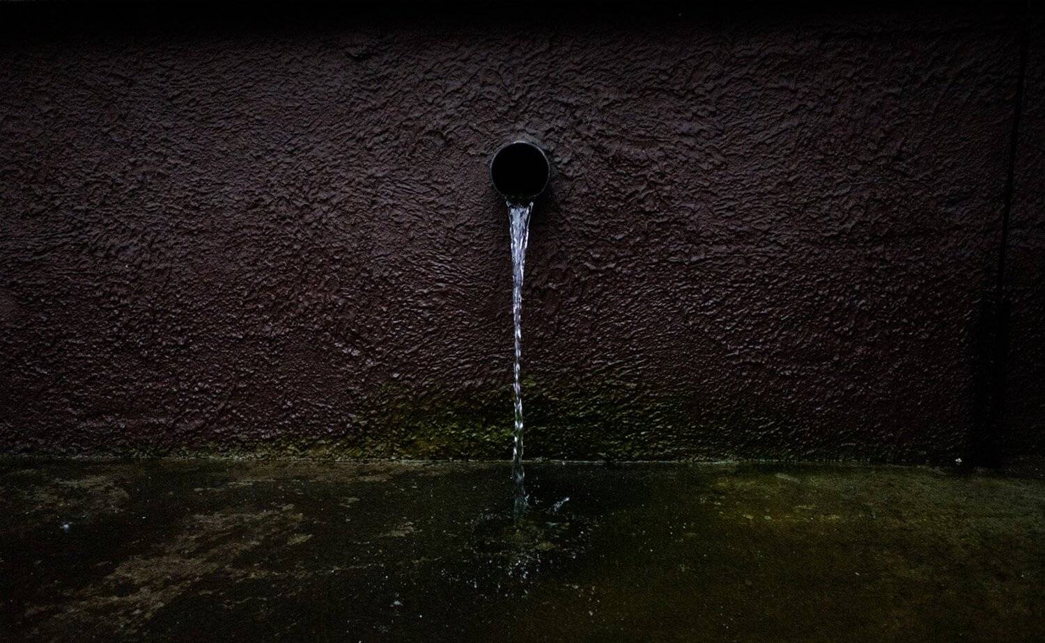 без слов,, Александр Малафеевский