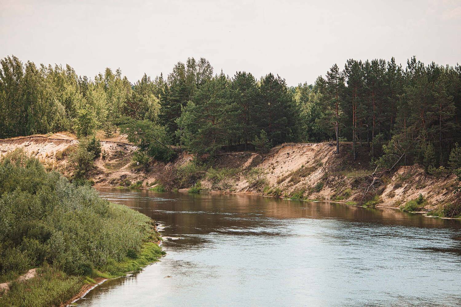 пейзаж, река, лето, природа, навашино, Владимир Васильев