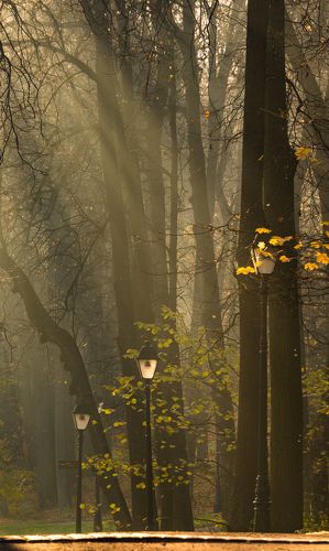 Осенний парк