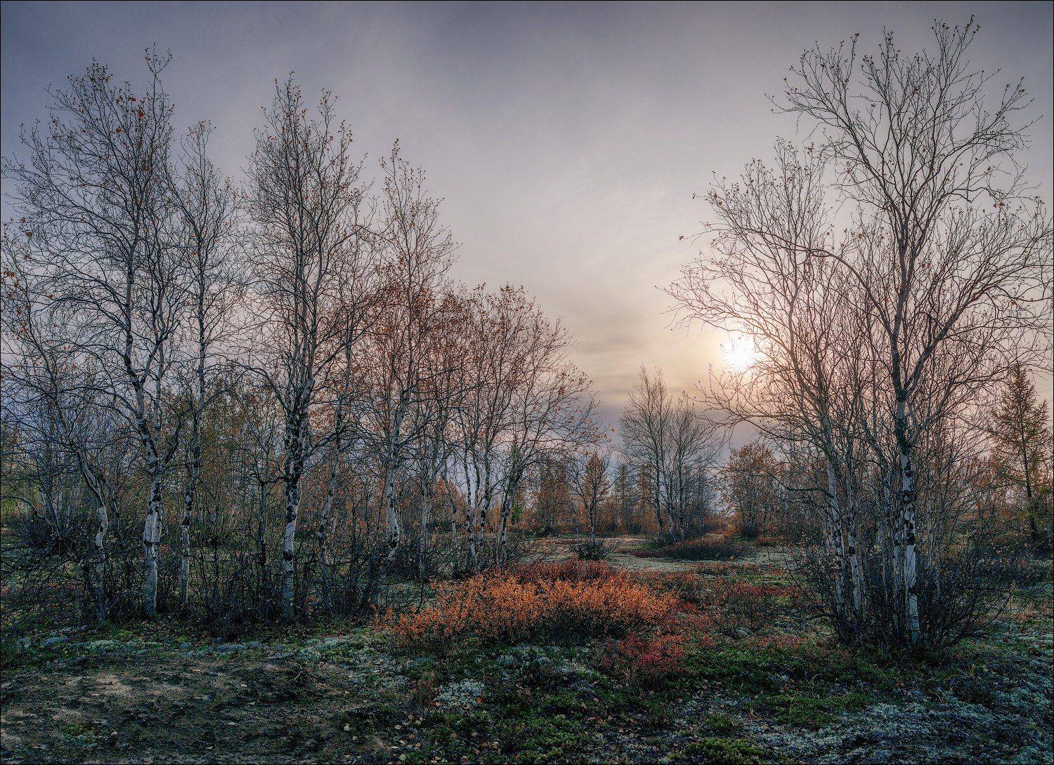 , Роман Чудинович