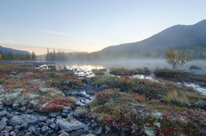 в морозное утро фото превью