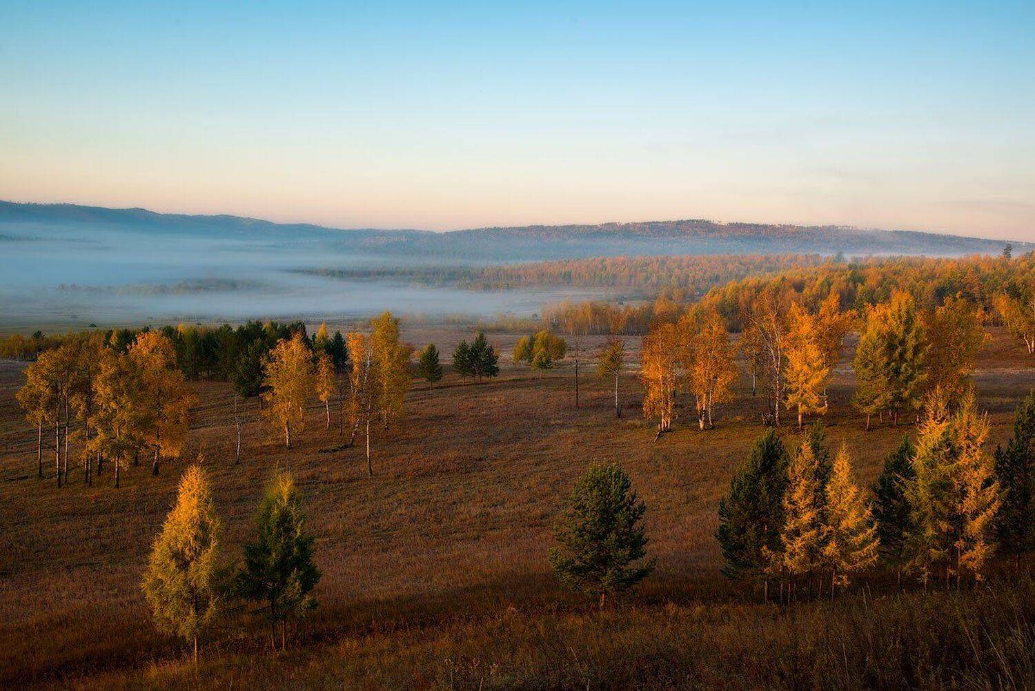 , Сергей Брагин