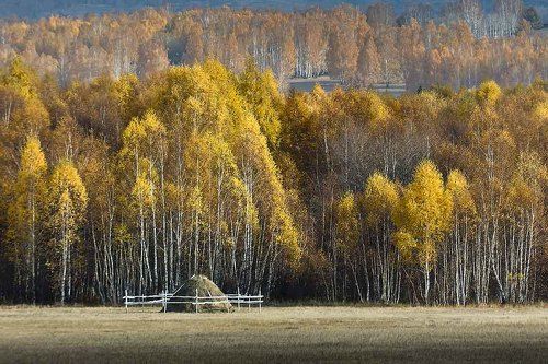 Осенние Мотивы!