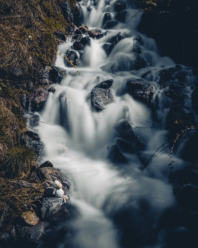 Trip with my Sheep :D фото превью