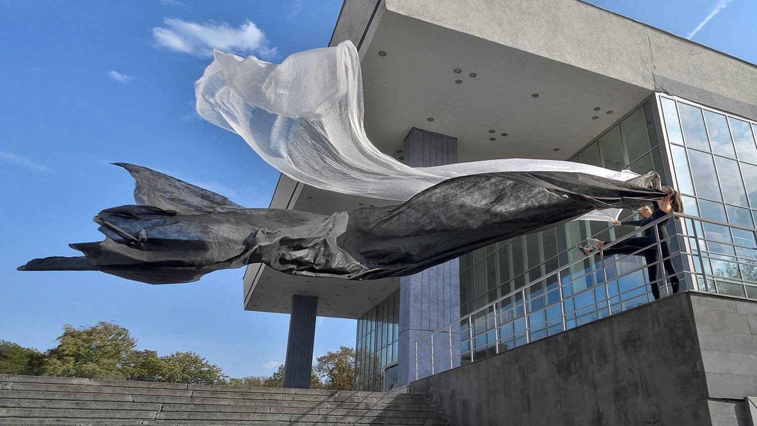 девушка, Владимир Кураков