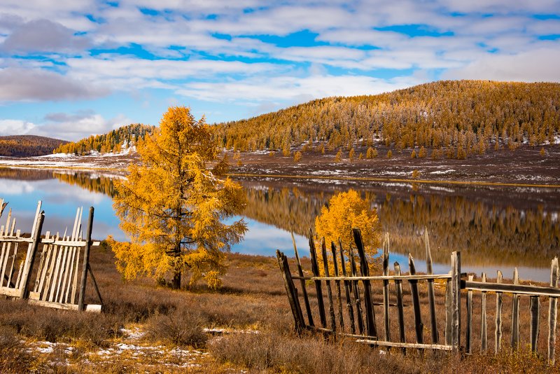 алтай Алтай фото превью