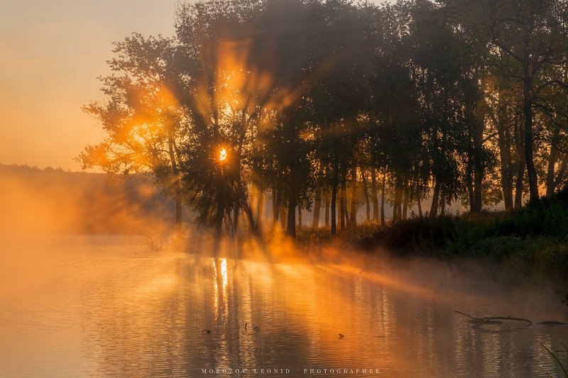 #landscape, #nature, #scenery, #forest, #wood, #autumn, #mist, #misty, #fog, #foggy, #river, #waterfall, #longexposure, #mountain, #vitosha, #bulgari, #aтуман, #лес, #oсень  фото превью