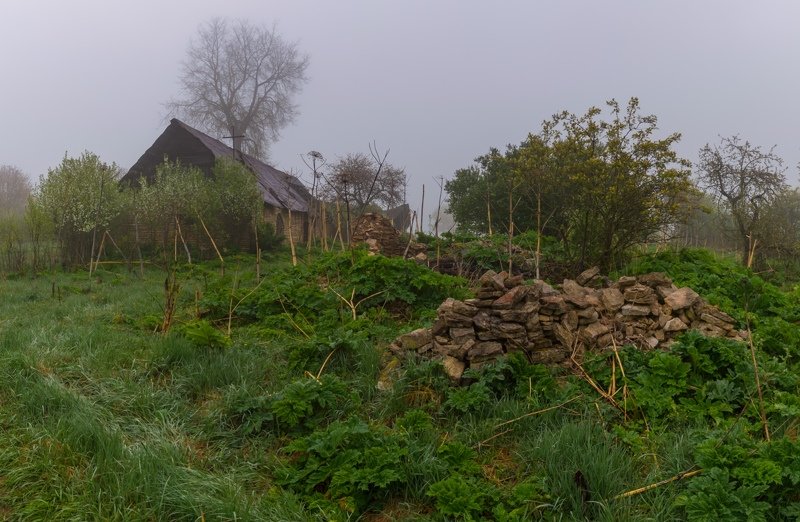 pskov, pleskau, псков, landscape, pskovregion, утро, туман, деревня д. Копаницы фото превью