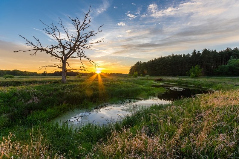 Colors of sunset фото превью