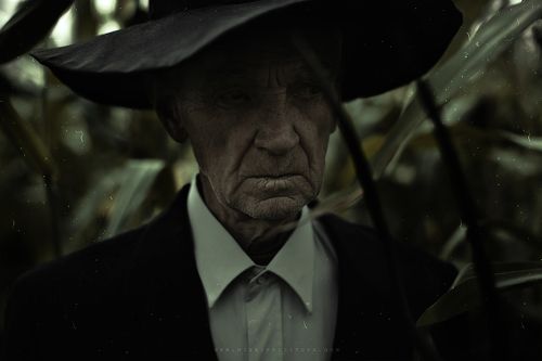 Т ь  м а   в   к у к у р у з н ы х   п о л я х