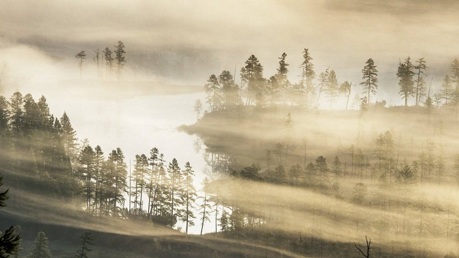 , Сергей Козлов