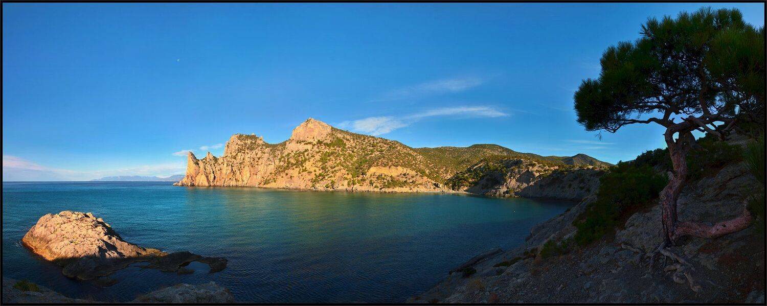 , Владимир Метцгер