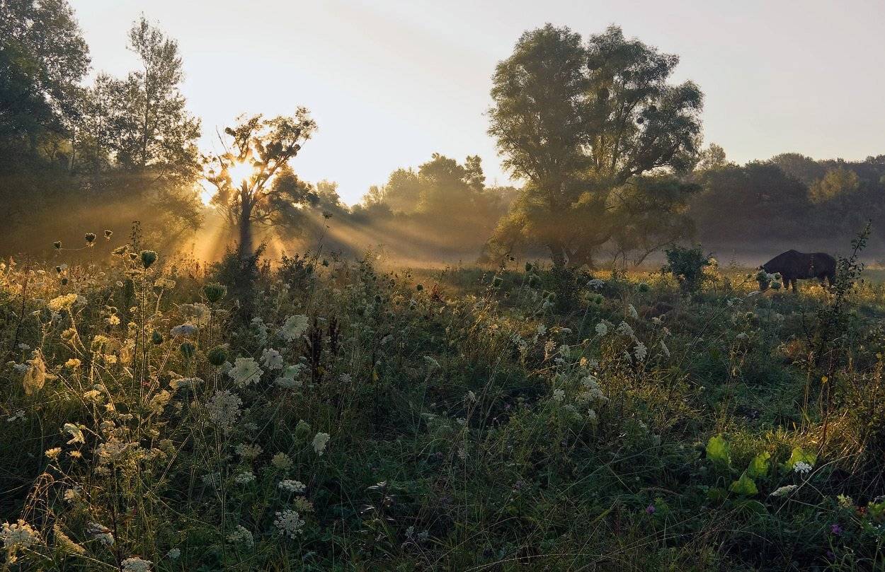 , Игорь Мелекесцев