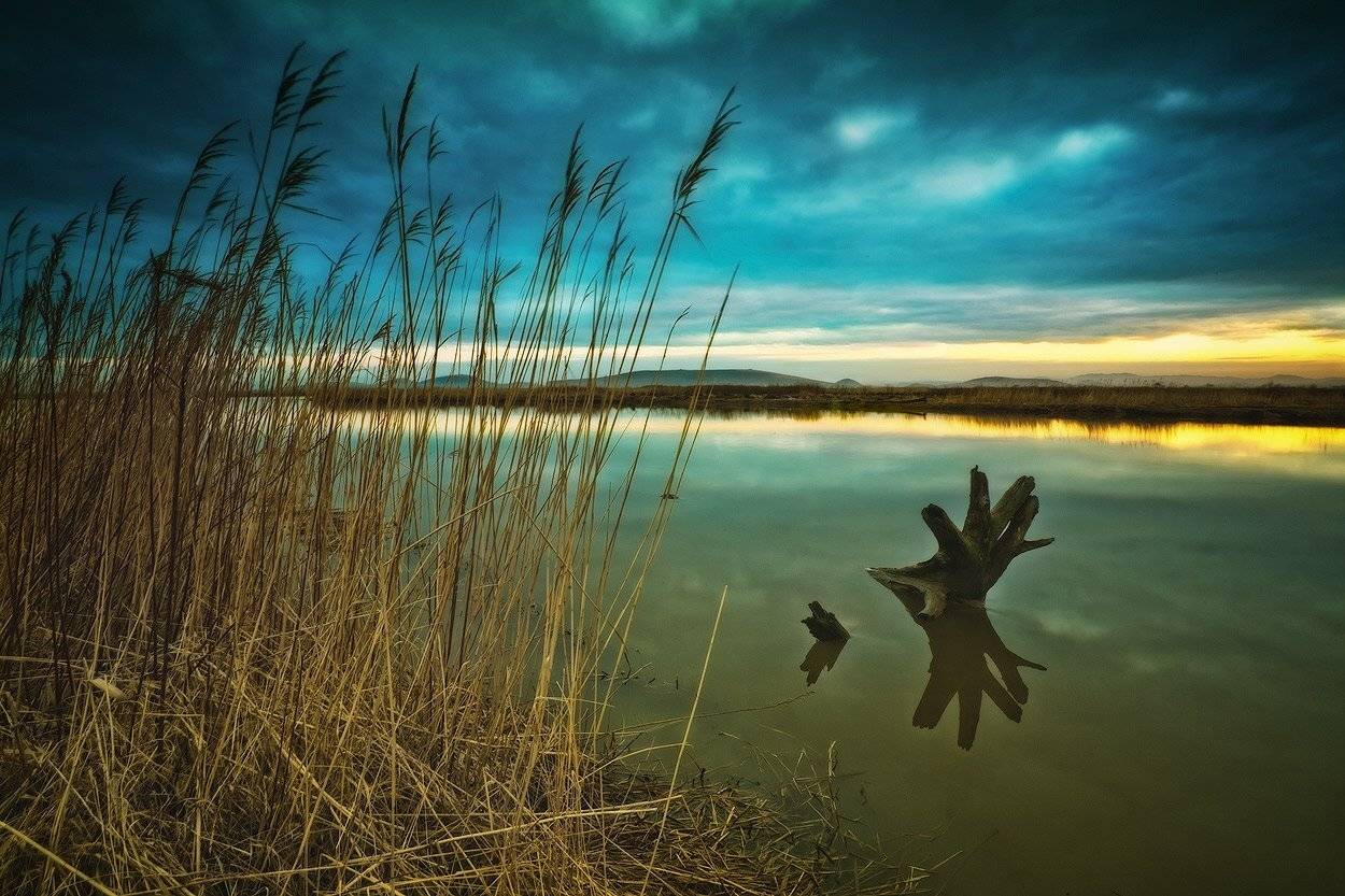 вечер, пень, трава, озеро, Андрей Кровлин