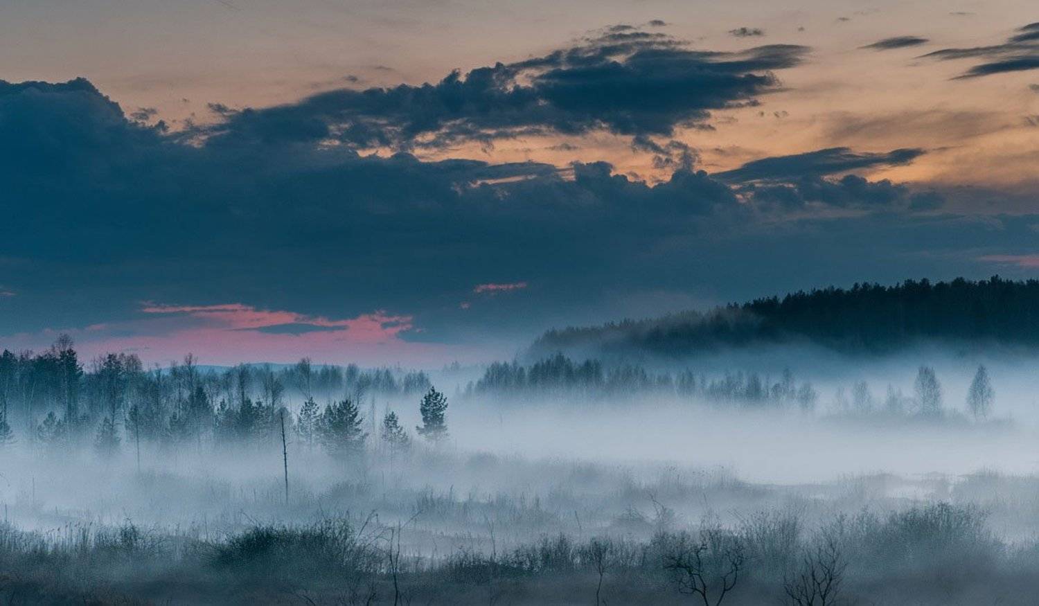 , Александр Гоголин
