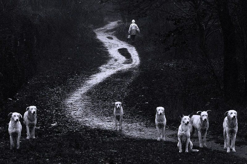 *** фото превью