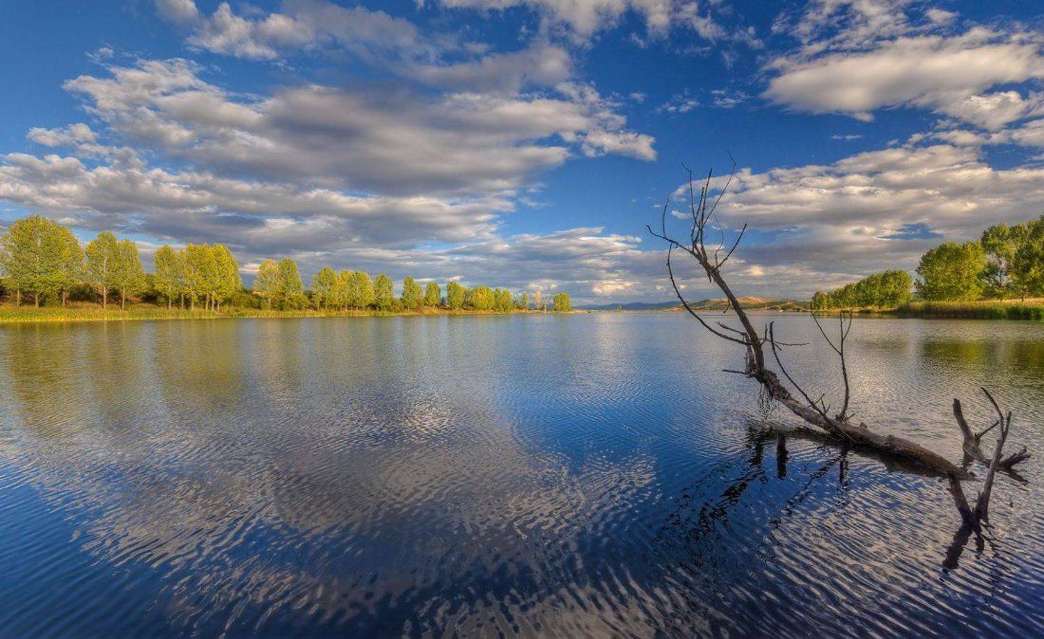 , Philip Peynerdjiev