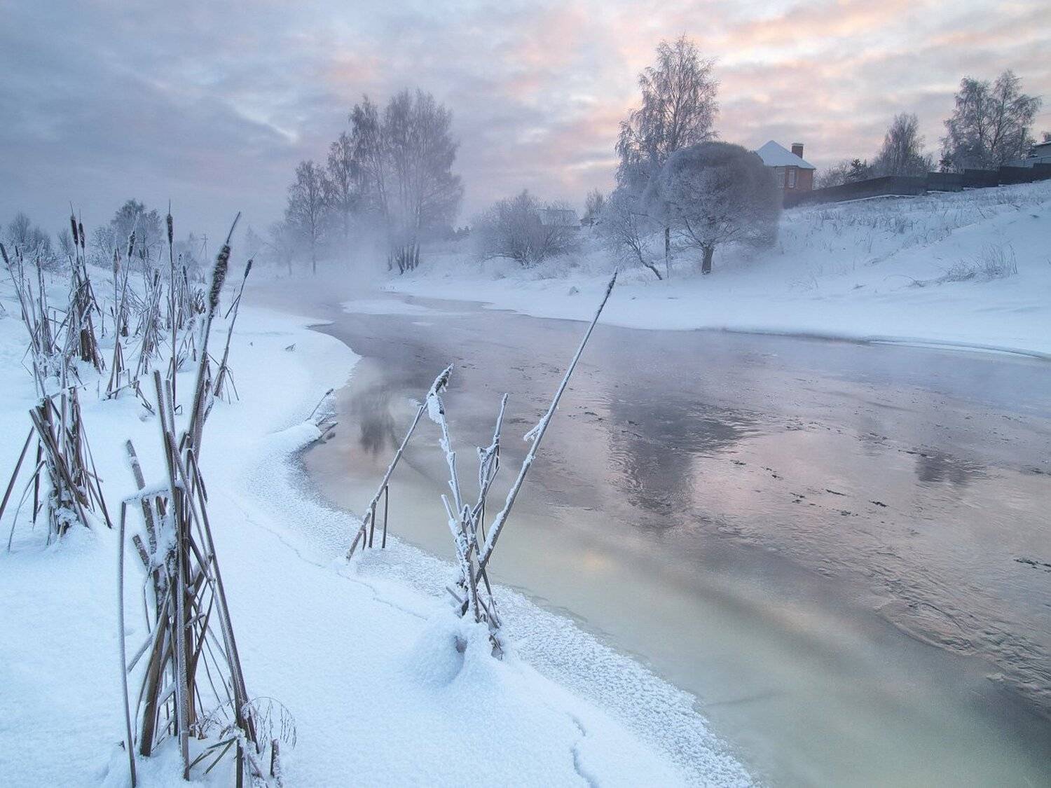 , Максим Евдокимов