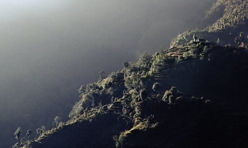 дом на горе