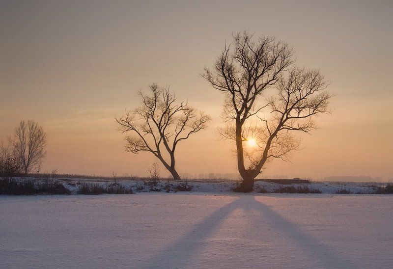 Y фото превью