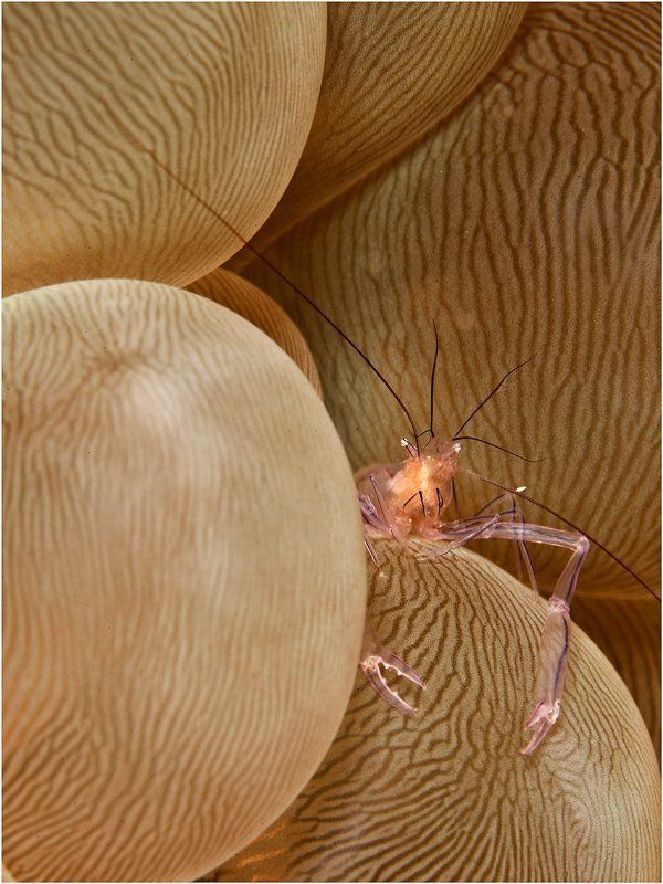 Охраняемая территория фото превью