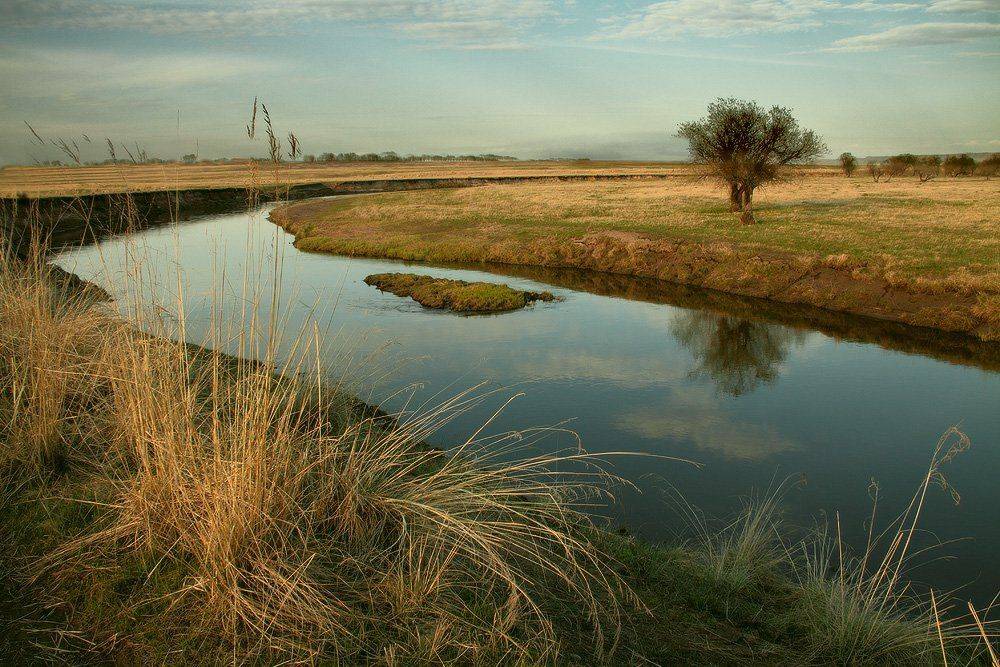 , Николай Морский