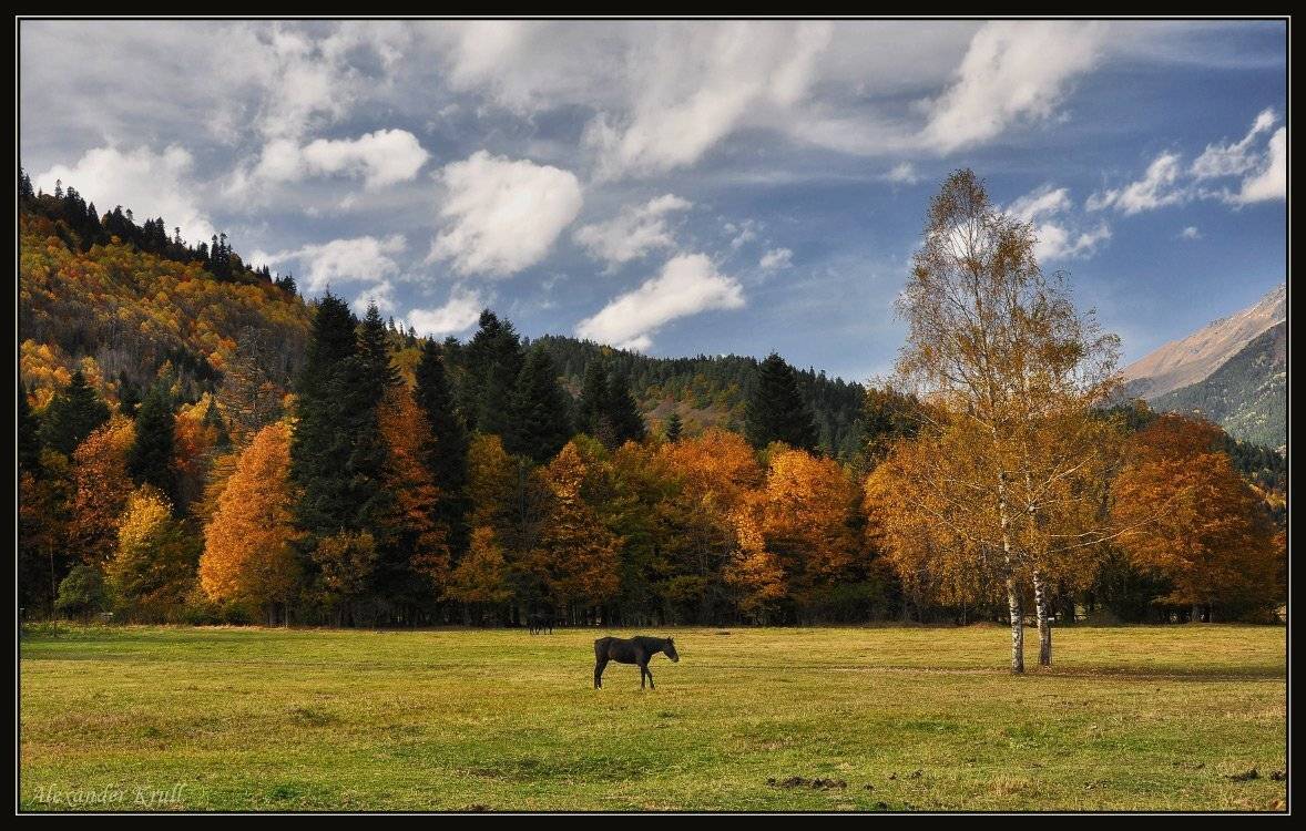 кавказ, кчр, осень, Александр Круль