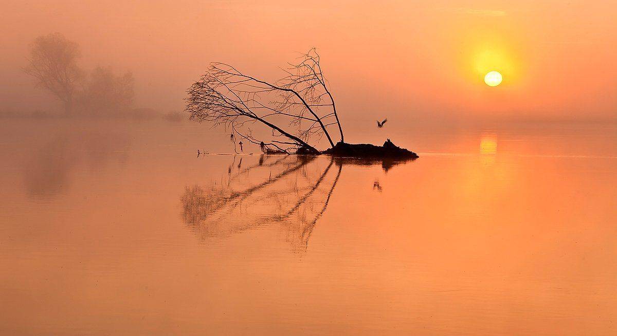 , Валерий Кондратов