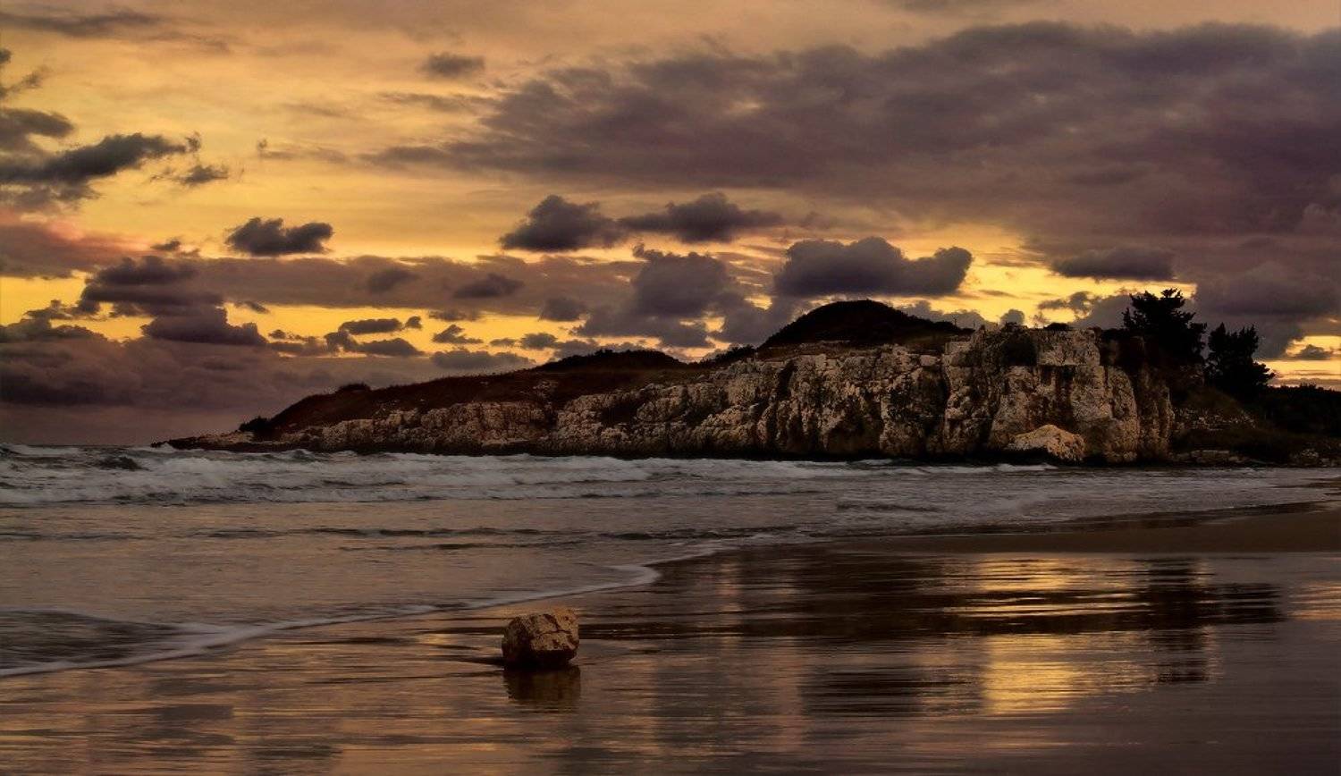 турция., Гамидов Мурад