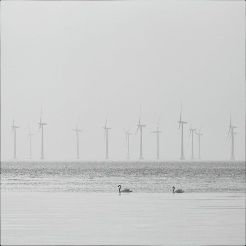 Sea Energy фото превью