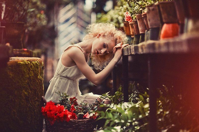 *** фото превью