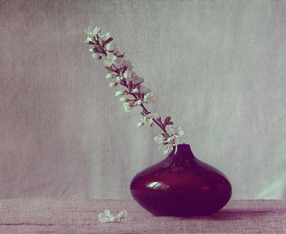 натюрморт ,вишня, Юлия Володина