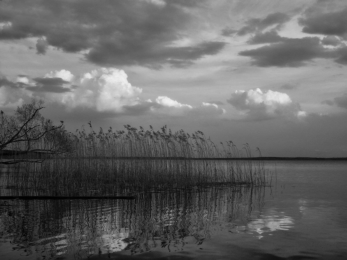, Владимир Перепечаев