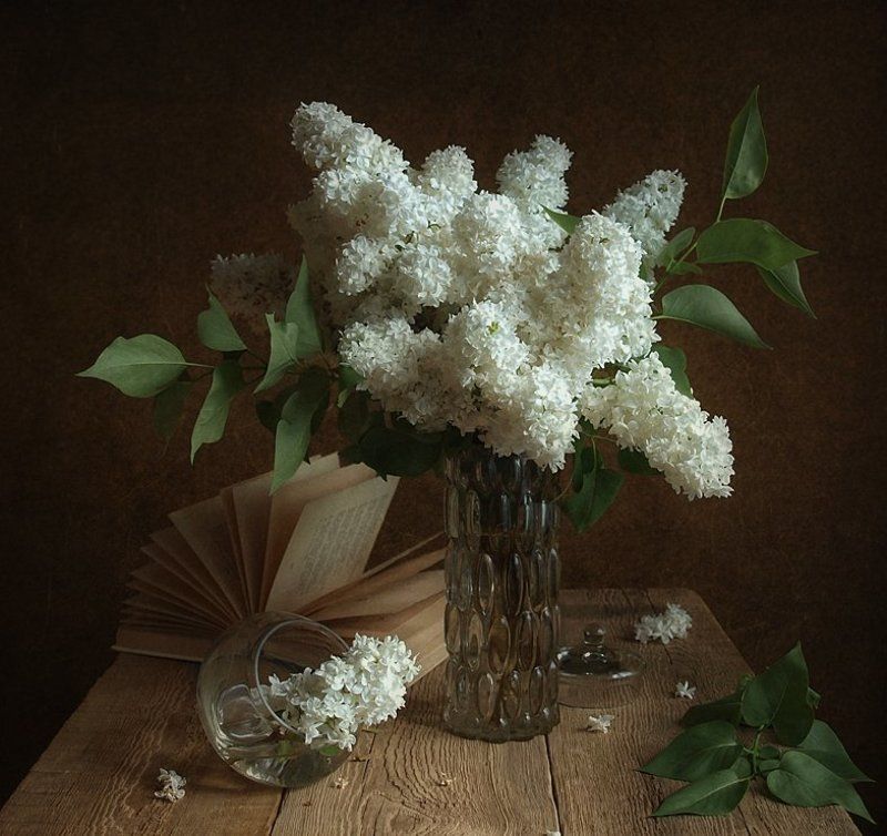 С белой сиренью фото превью