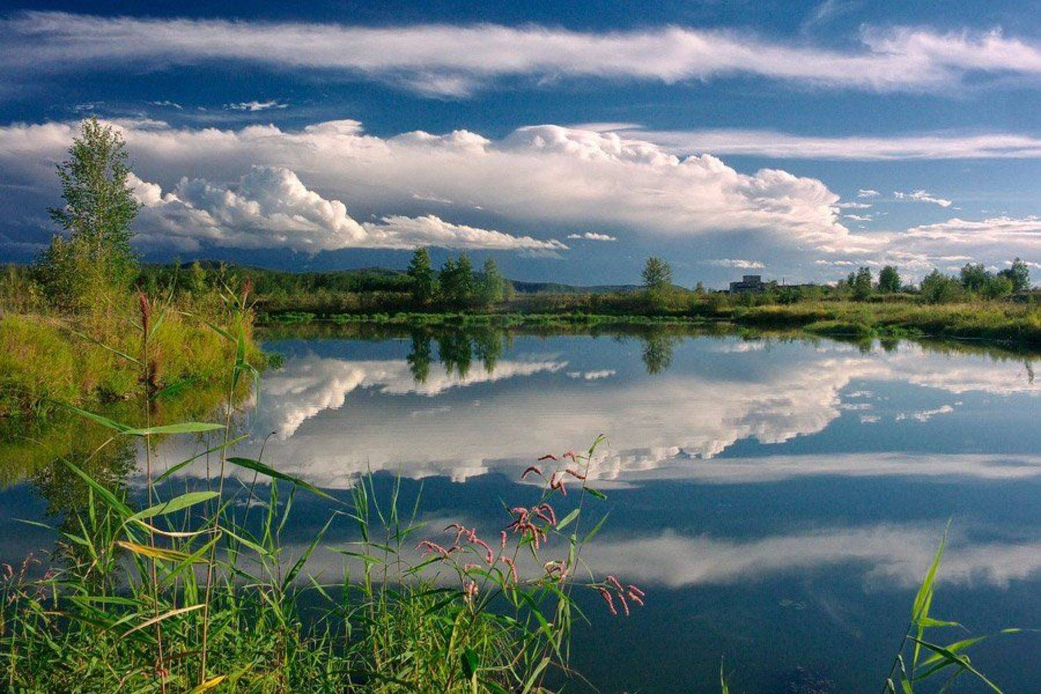 , Виктор Бут