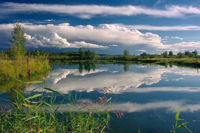 *** фото превью