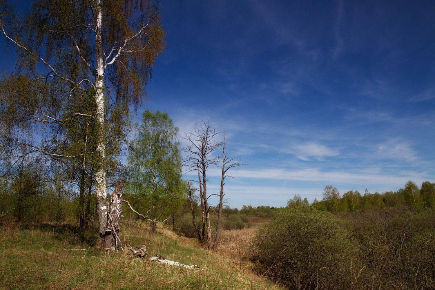 , Игорь Иванов