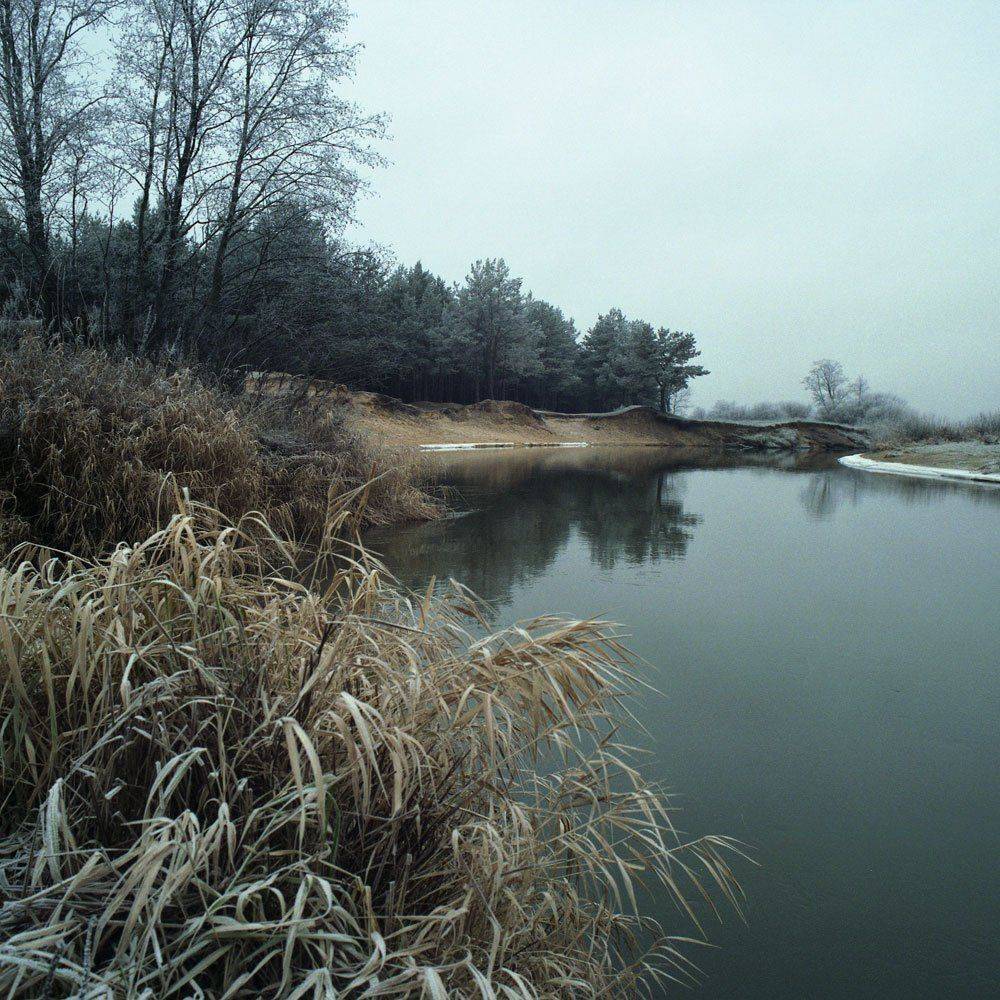 вот, такой, декабрь, scbi