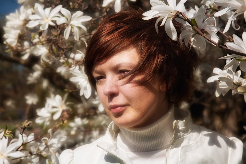 когда цветёт Магнолия фото превью