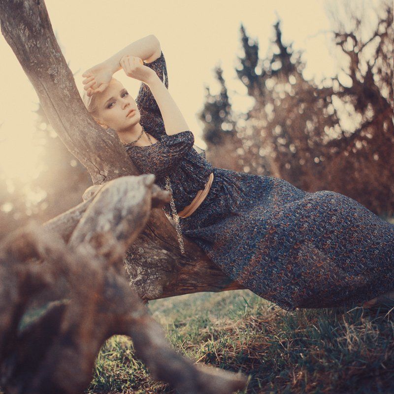 Коряжка фото превью