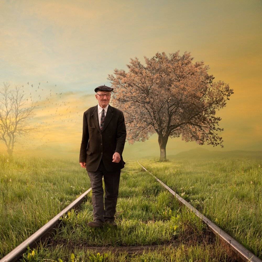 sky, clouds, sunshine, old, tree, grass, man, alone, fly, wood, walking, land, colorful, rails, train rails, Caras Ionut
