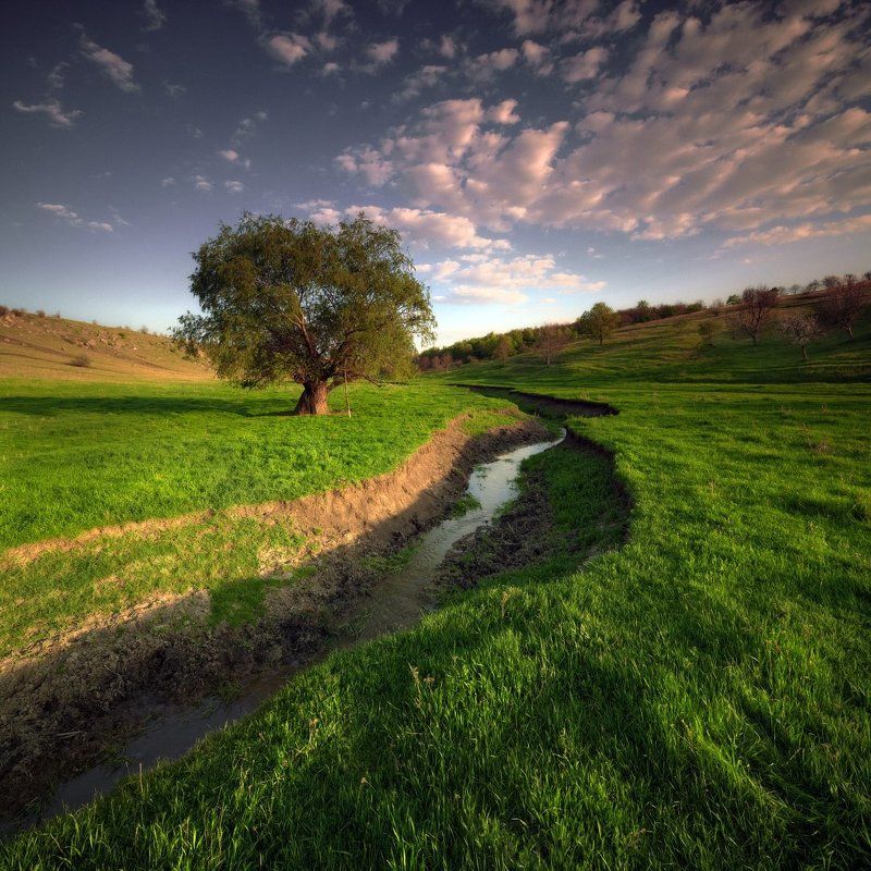 *** фото превью