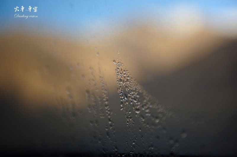 on the train фото превью