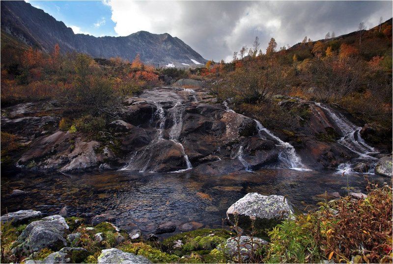 поднебесные, зубья  фото превью