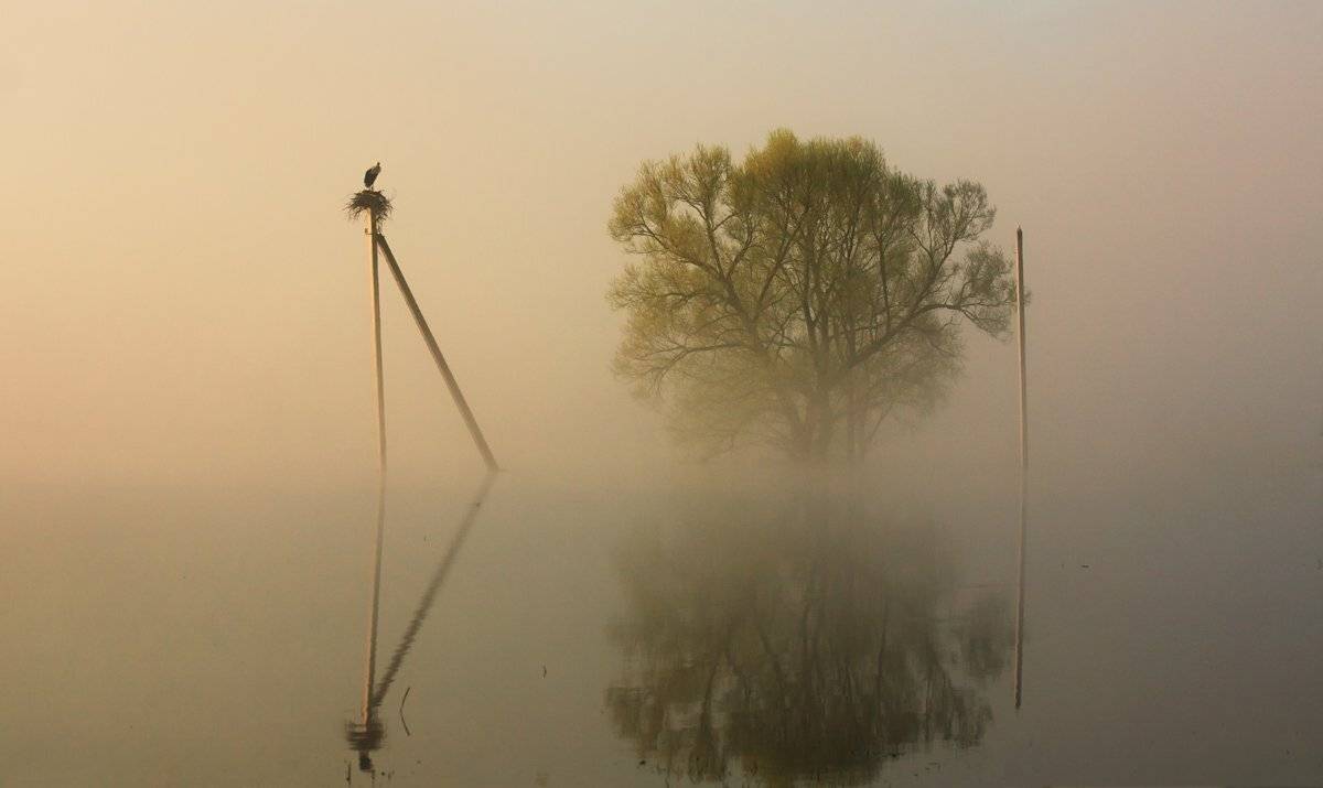 , Валерий Кондратов