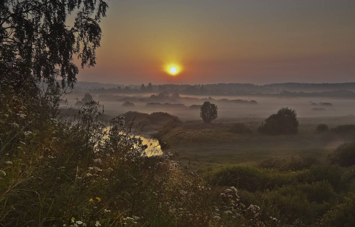тригорское, Андрей Леонидович
