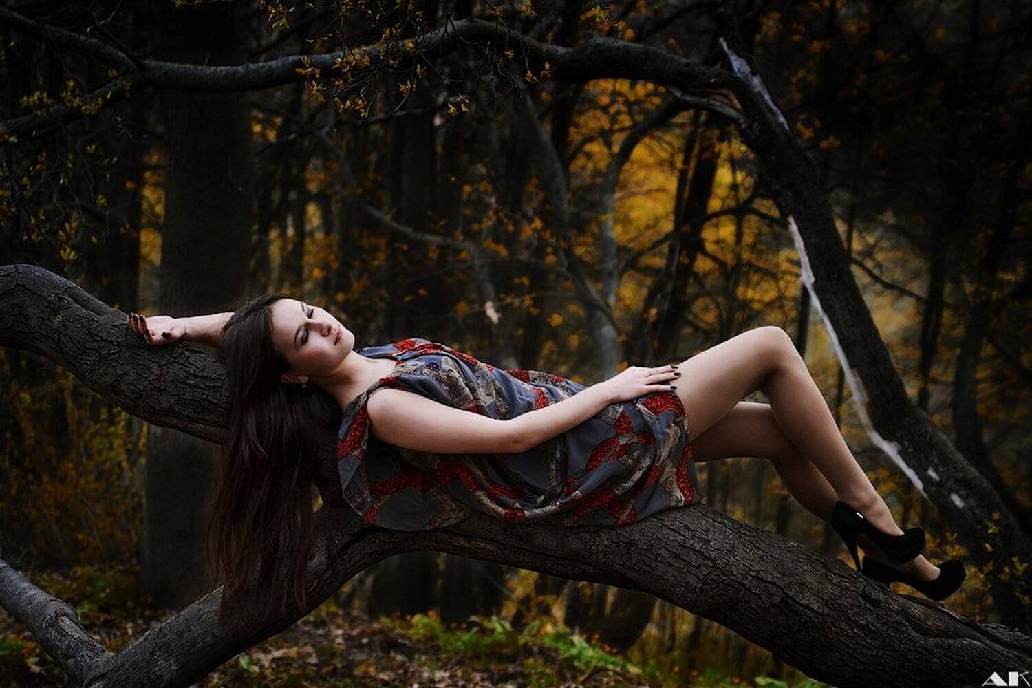 woods, лес, Колбая Александр