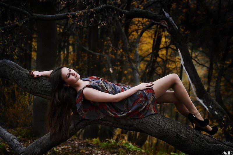 woods, лес In the woods фото превью