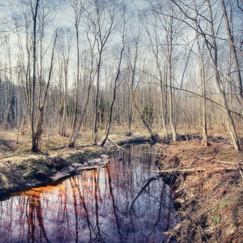 | Лесная река |